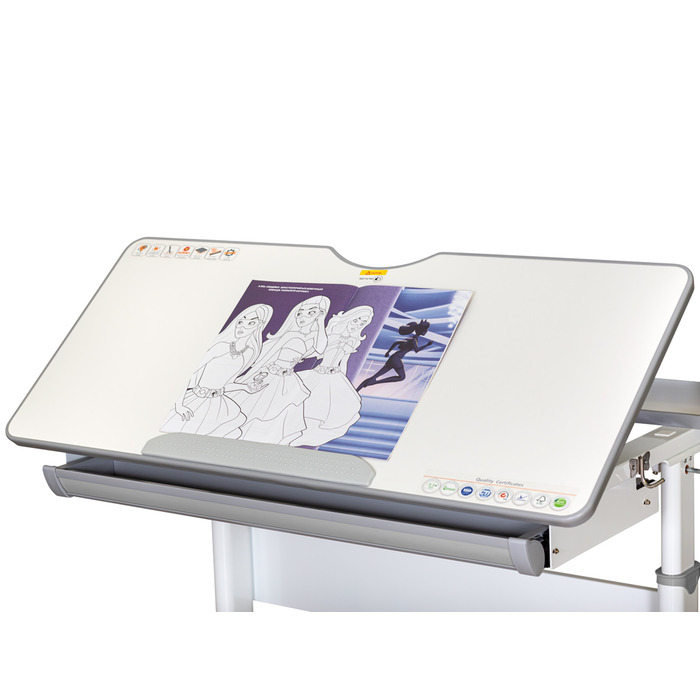 Дитячий стіл Mealux Vancouver Multicolor з полицею S50 (арт. BD-620 W/G MC + S50 WG)