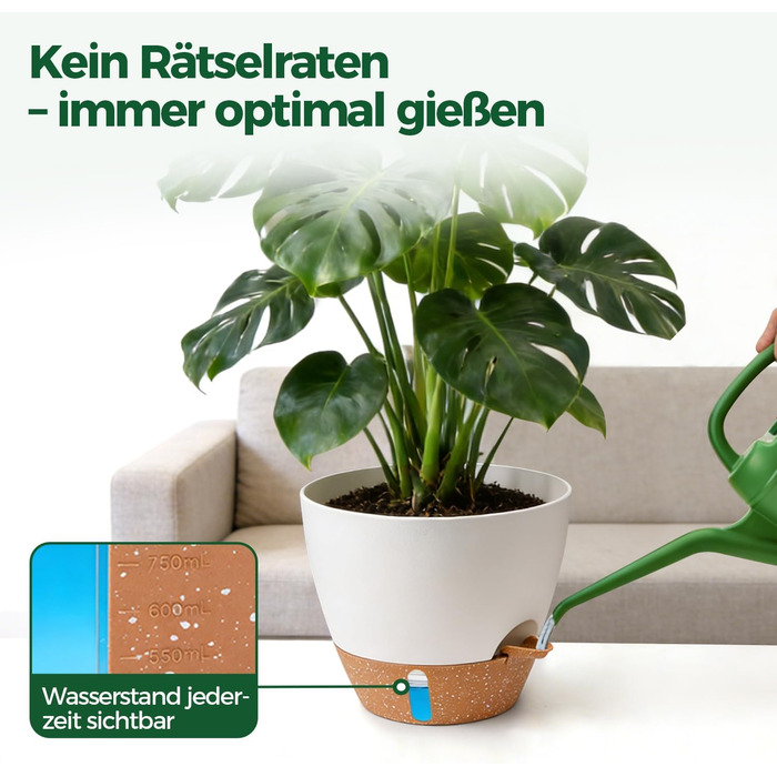 Набір 4 самополивні горщики для квітів T4U з індикатором рівня води, легкі у догляді, великі (30 см, білий)