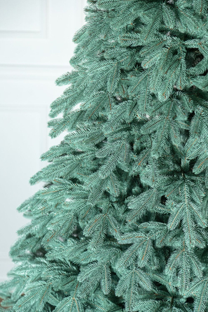 Ялинка лита 'Лапландська' ПАРАСОЛЬКА БЛАКИТНА 1,50м