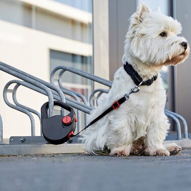 Повідець для собак Dogxi багатофункціональний повідець для собак 5 м висувна ручка відкидна для зручного кріплення ремінець для безпечного перевезення в автомобілі для собак малого і середнього розміру