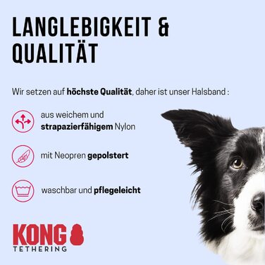 Основна упряж Kong для собак із захистом від натягу Kong Норвезька упряж m червоного кольору (велика, кольору фуксії)