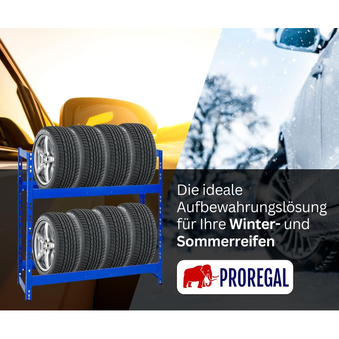 Стелаж для шин PROREGAL Tiger: 100x110x35 см, 150 кг навантаження, 8 шин, 2 рівні, блакитний