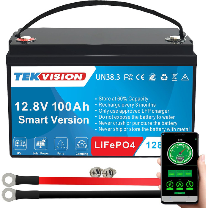 Акумулятор Tekvision LiFePO4 24V 100Ah з BMS для автофургону, човна, сонячної системи, домогосподарства (12V 100Ah Smart)