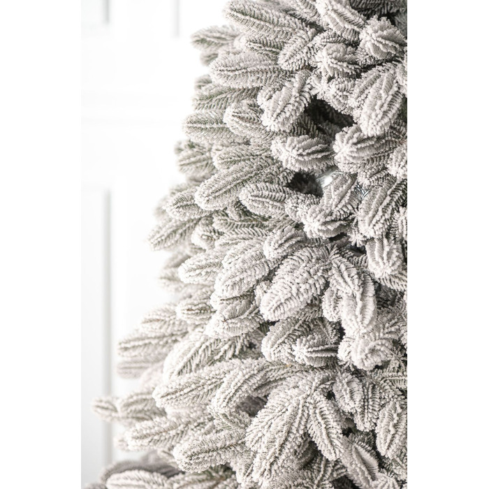 Ялинка лита 'Лапландська' ЗАСНІЖЕНА ПАРАСОЛЬКА 1,50м