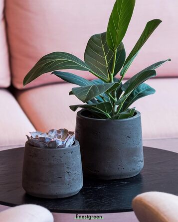 Вазон Patt Pflanzgefäß Grau L: сірий, бетонна текстура, для дому та саду, морозостійкий, UV-стійкий, водонепроникний (16.5x13.2x14 см)