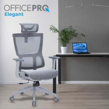 Крісло офісне OfficePro Elegant OC660-G-DG-DG