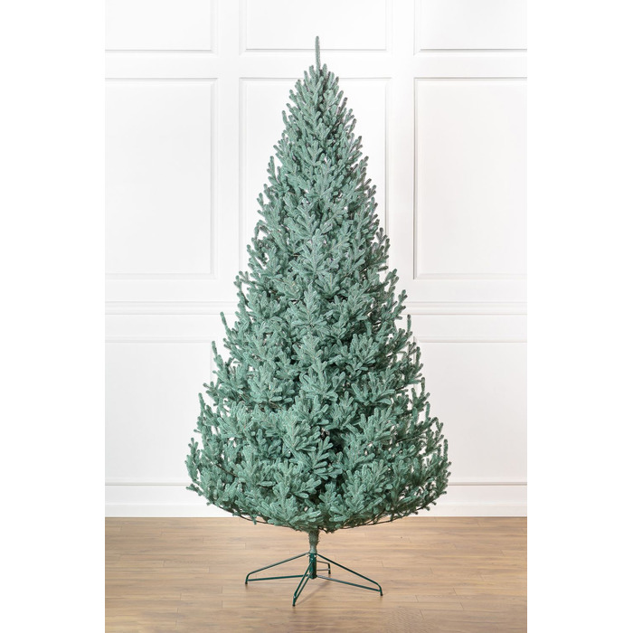 Ялинка лита 'Віденська' Блакитна 3,00м