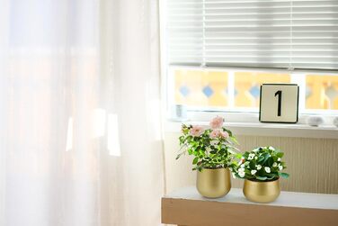 Квітчаки для саду Vixdonos з латуні, 2 шт. (19,5 см, 16/19 см), круглі, для сукулентів, золотистого кольору