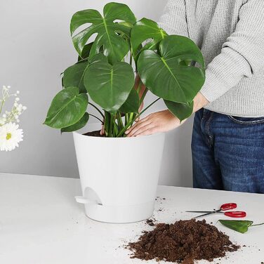 Набір горщиків для квітів 2 шт. 25.4 см та 20.3 см, пластик, з системою поливу, для дому, балкону, саду, сукулентів, кактусів (зелений, білий)