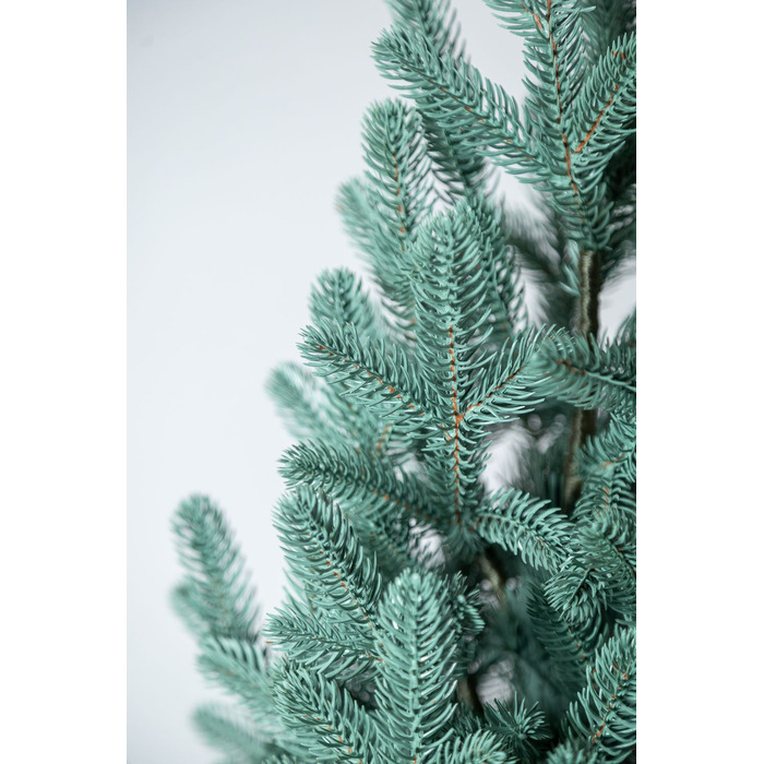 Ялинка лита 'Віденська' в горщику блакитна 1,10 м