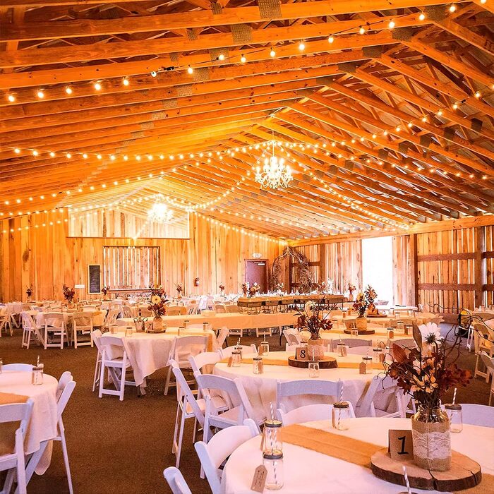 Ланцюжок гірлянд GLUROO для вулиці, диммування, 45.7 м, вологостійкий, з пульт дистанційного керування, 75+2 лампочки G40, LED, для саду