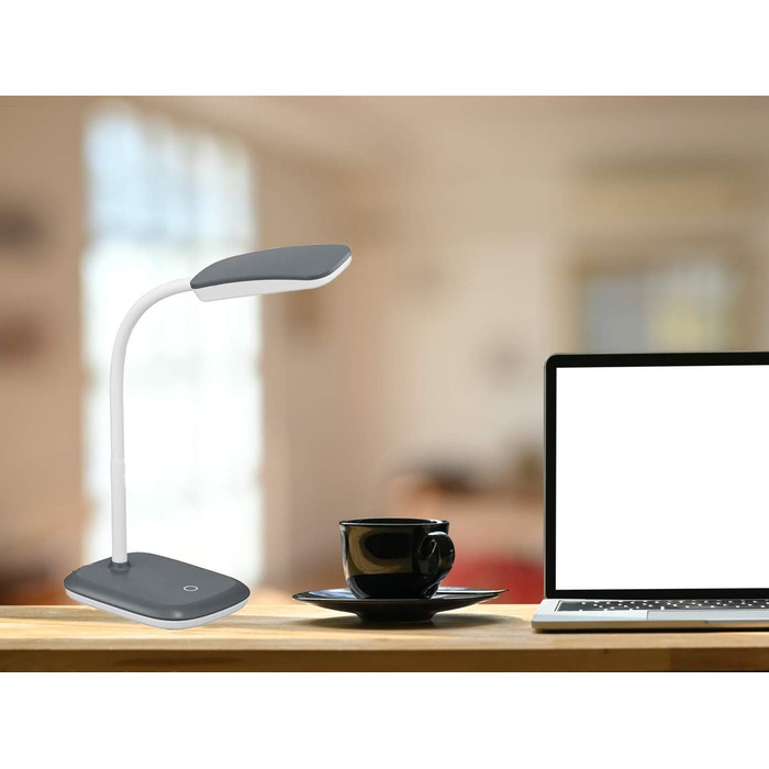 Настільна LED-лампа Reality Boa, 3.5 Вт, акрил, титан, 25x11x36 см