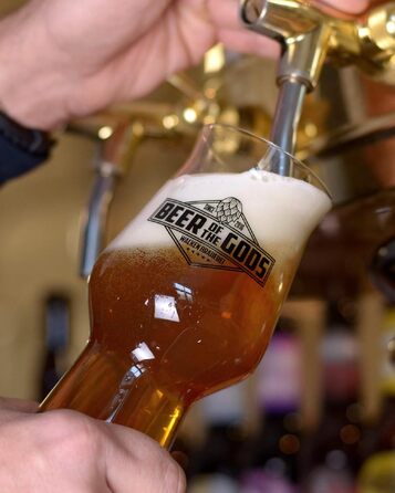 Набір пивних келихів WACKEN BRAUEREI 3 шт. для стауту, IPA, Pale Ale - 300/500 мл, Craft Beer, придатні для мийки в посудомийній машині