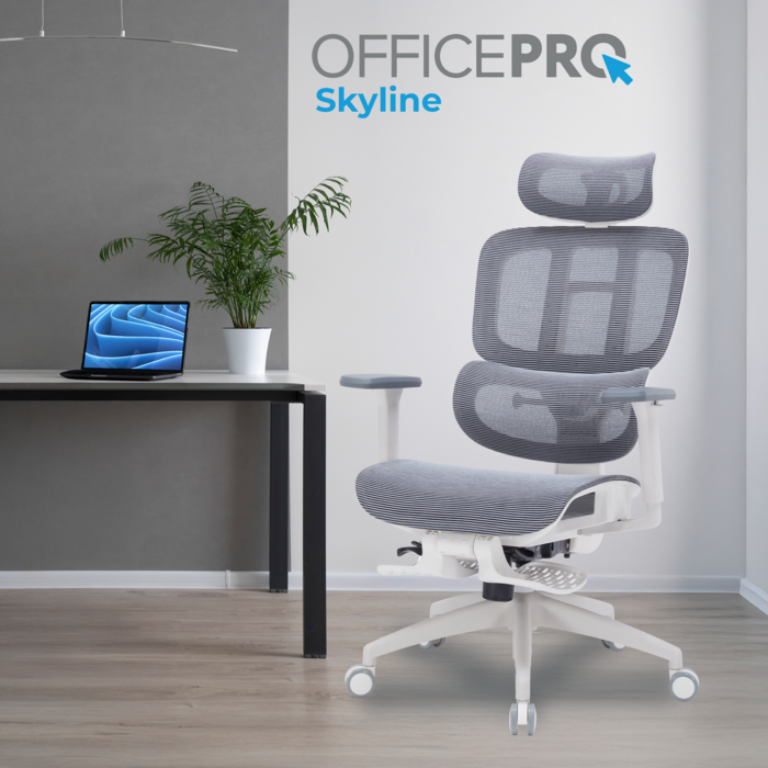 Крісло офісне OfficePro Skyline OC750-W-DG-DG