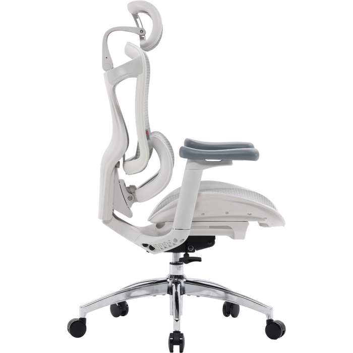 Крісло офісне Sihoo DORO C300L Mesh White