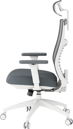 Крісло офісне OfficePro Balance OC550-W-DG-DG