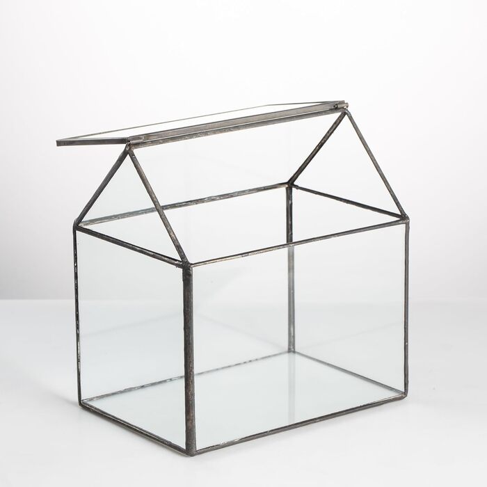 Геометричне терассіум NCYP 15,5x11x16 см, скляний, з кришкою, для сукулентів та моху, чорний