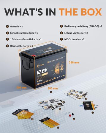 LiFePO4 акумулятор 12V 100Ah H190 ECE R10 з Bluetooth 5.4 для кемпера та автобудинку (Lithium Batterie 12V 334Ah MINI BT)