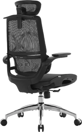 Крісло офісне Sihoo M59AS Mesh Black