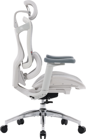 Крісло офісне Sihoo DORO C300L Mesh White