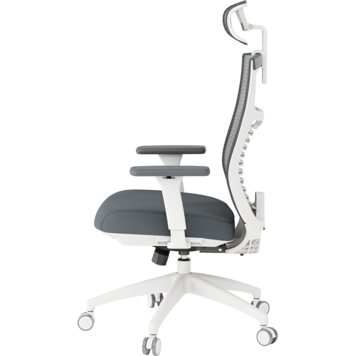 Крісло офісне OfficePro Balance OC550-W-DG-DG