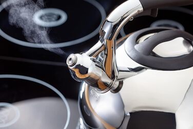 Чайник для плити Judge 3л зі сталі 18/10 для індукційних, газових та електричних плит, зі свистком та термостійкою ручкою