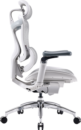 Крісло офісне Sihoo DORO C300 Pro Mesh White