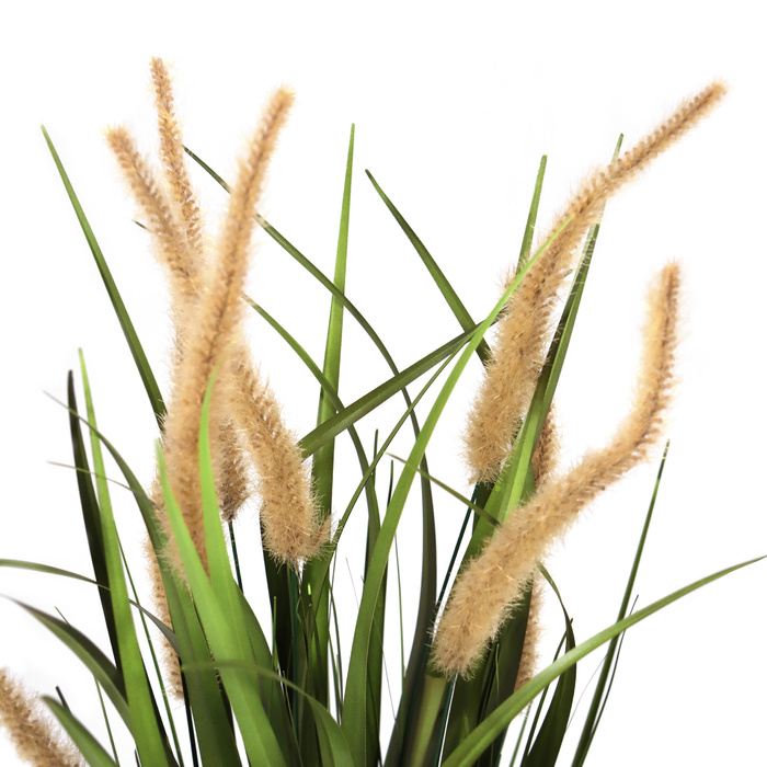 Штучна рослина CORTADERIA I Дика трава / Pampas Grass 78 см бежевий/зелений hjh ОФІС