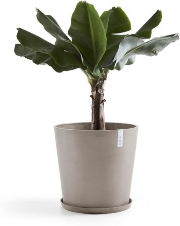 Еко-горщик Ecopots Gross Taupe: великий квітковий горщик 50x50x44.3 см