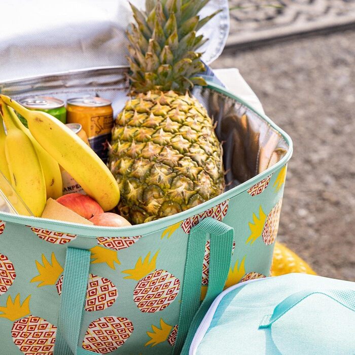 Термосумка-холодильник Reisenthel Coolerbag для продуктів, ізотермічна сумка для збереження холоду