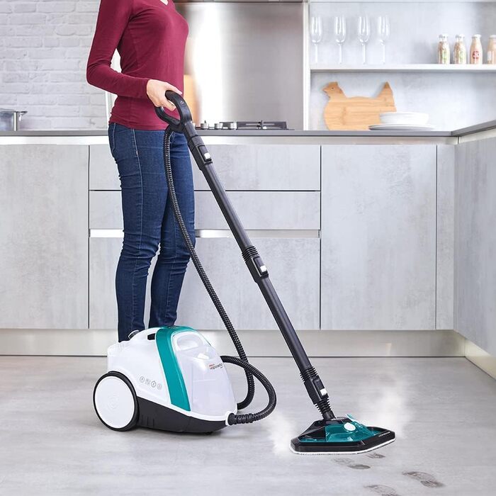 Парогенератор POLTI Vaporetto Smart 100 T 4 бар, 2 л, антивірусний, білий/бірюзовий, 110 г/хв, 9 насадок