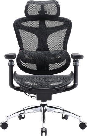 Крісло офісне Sihoo DORO C300 Pro Mesh Black