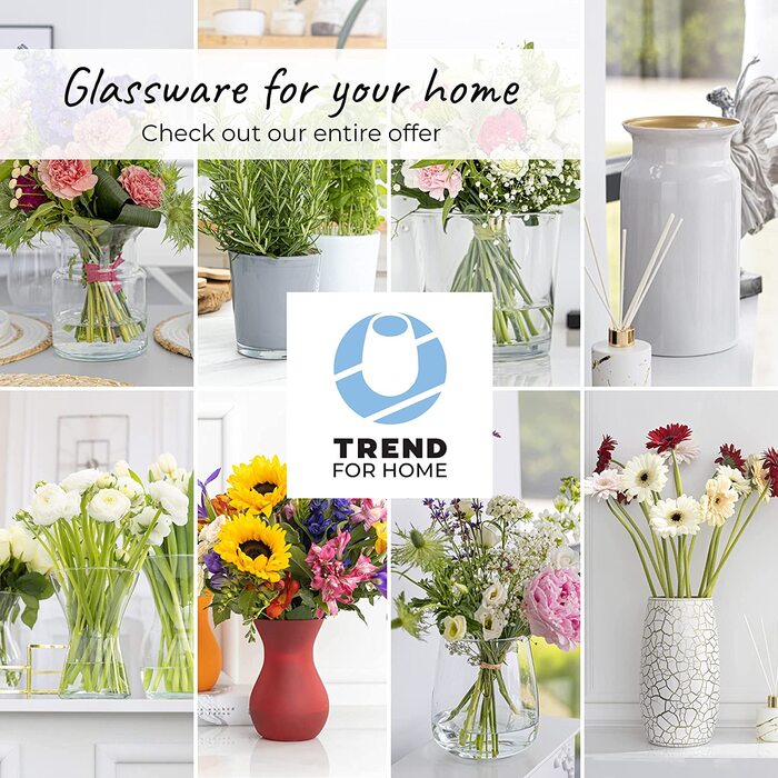 Ваза для квітів TREND FOR HOME