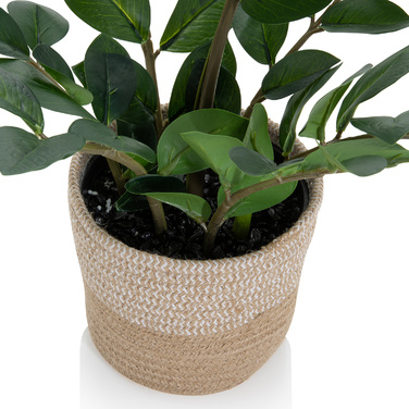 Штучна рослина / штучне дерево ZAMIE Zamioculcas green hjh ОФІС