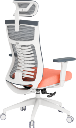 Крісло офісне OfficePro Balance OC550-W-DG-OR