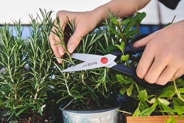 Набір ножів ZWILLING Gourmet, 7 предметів: ножі, мусат, кухонні ножиці, блок, нержавіюча сталь, ергономічна пластикова ручка, чорний, вироблено в Німеччині