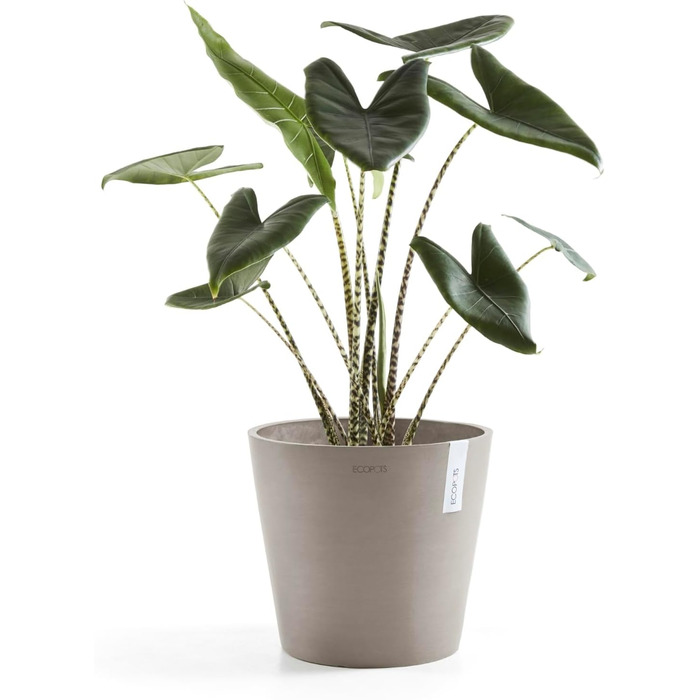 Квітчар Ecopots Taupe: великий горщик для квітів, 40x40x34.8 см