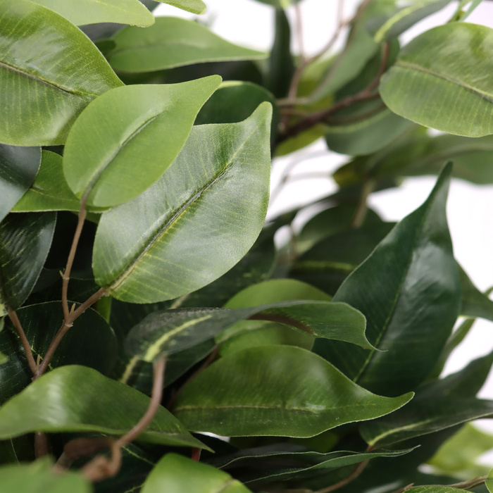 Штучна рослина / штучне дерево FICUS II 65 см зелений hjh ОФІС