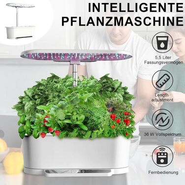 Smart Herb Garden Kit: Гідропонна система для вирощування зелені в приміщенні з LED-підсвіткою та WiFi