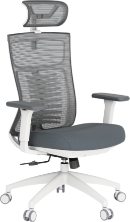 Крісло офісне OfficePro Balance OC550-W-DG-DG