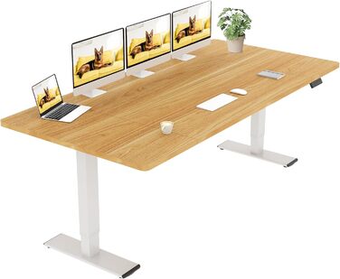 Регульований стіл Sanodesk 160x70 см - електричний підйомний стіл, Dualmotor, до 90 кг, ергономічний робочий простір (чорний+)