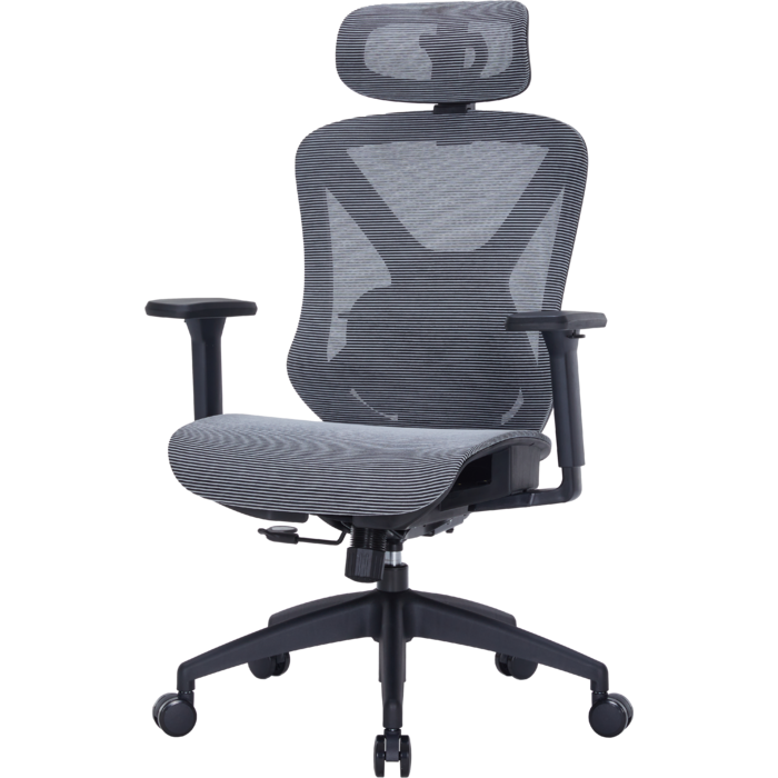 Крісло офісне Officepro Atlas OC630-B-DG-DG