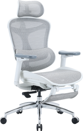 Крісло офісне з підставкою для ніг Sihoo DORO C300L Mesh White with footrest