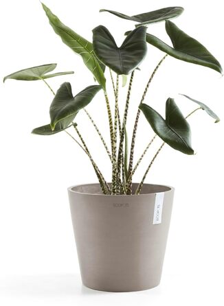 Квітчар Ecopots Taupe: великий горщик для квітів, 40x40x34.8 см