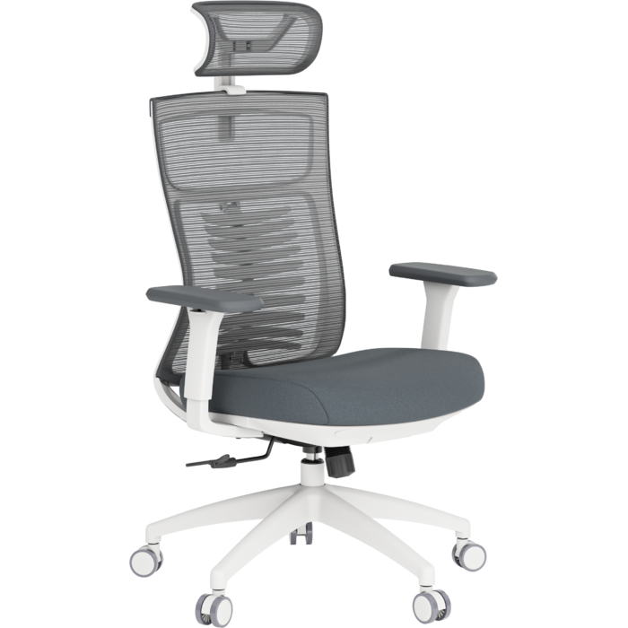 Крісло офісне OfficePro Balance OC550-W-DG-DG