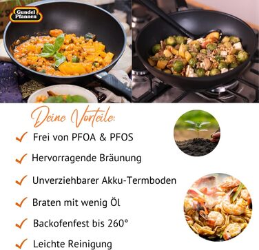 Wok-сотейник литий Gundel GUSS-WOK 30 см, антипригарний, PFOA-free, з ручкою, товсте дно Akku-Therm