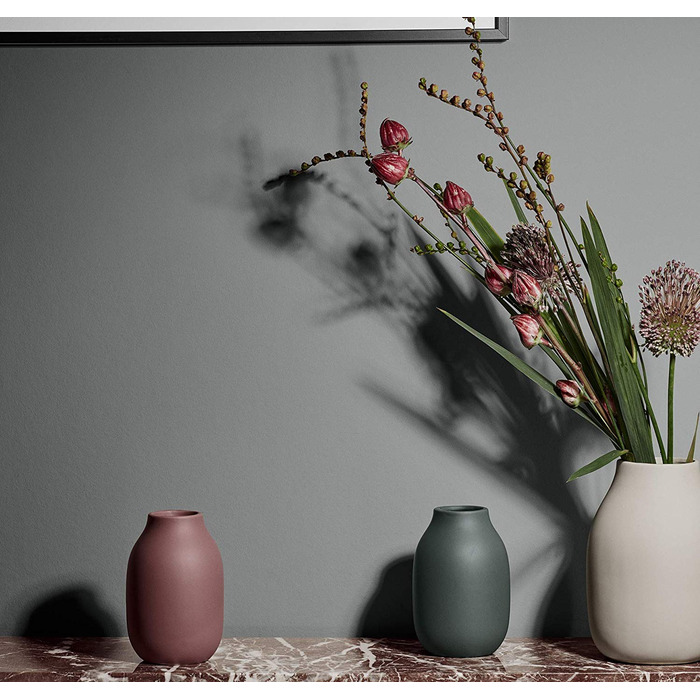 Ваза біла маленька 15 см Colora Blomus