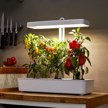 LED Фитолампа Northpoint для розсади та вирощування рослин в приміщенні 22W, 1350 люмен, таймер, регульована висота, 10 саджанців