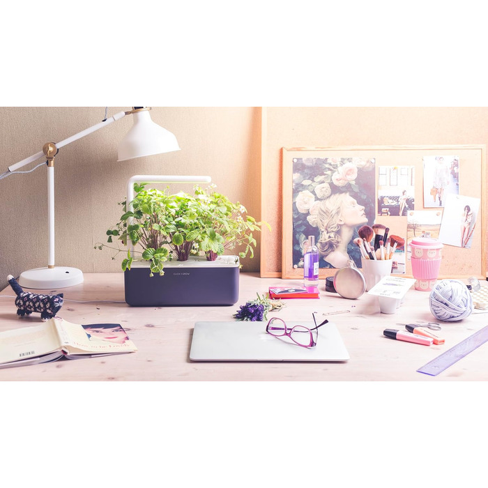 Click and Grow Growbox Smart Garden: Інтелектуальний сад для вирощування зелені вдома (3 капсули, темно-сірий)