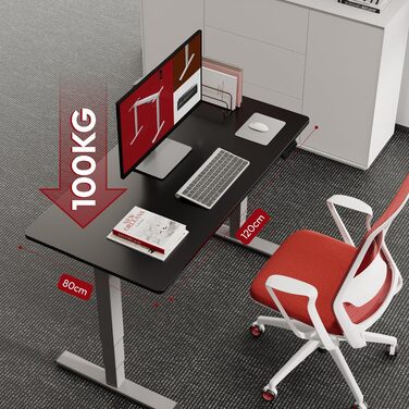Регульований по висоті письмовий стіл SANODESK 120×80 см, електричний стіл для роботи стоячи та сидячи, два двигуни, USB-порт, пам'ять позицій та захист від зіткнень (Сірий + Чорний)